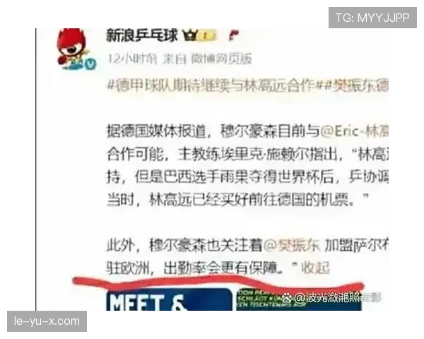 德甲转会新闻解析